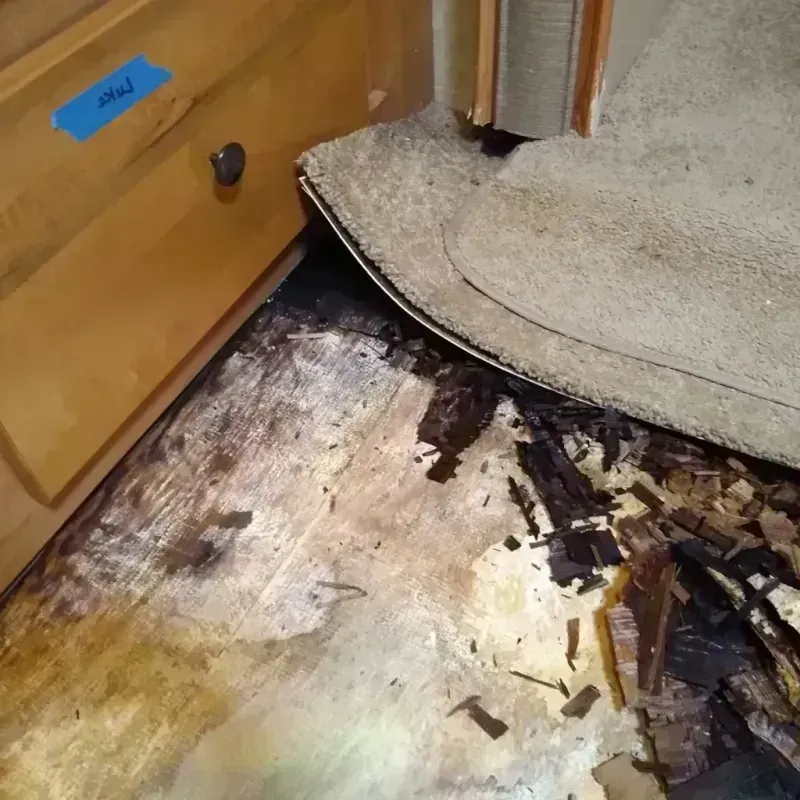 Wood Floor Water Damage in Alachua, FL